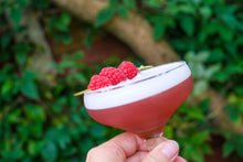 Load image into Gallery viewer, Clover Club