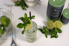Load image into Gallery viewer, Mojito
